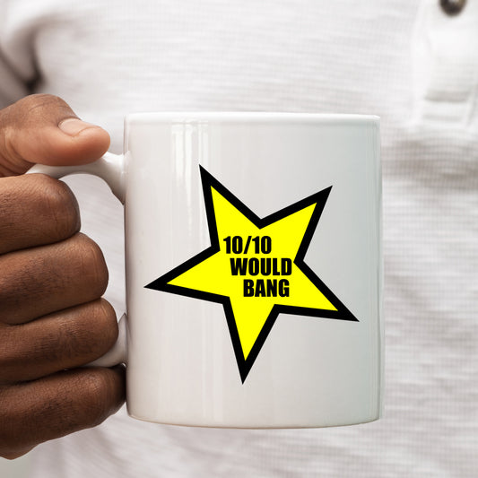 10/10 Would Bang Mug, Funny Rude Sexual Offensive Gift Cup